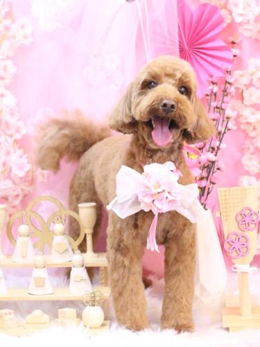 20250302テディくん